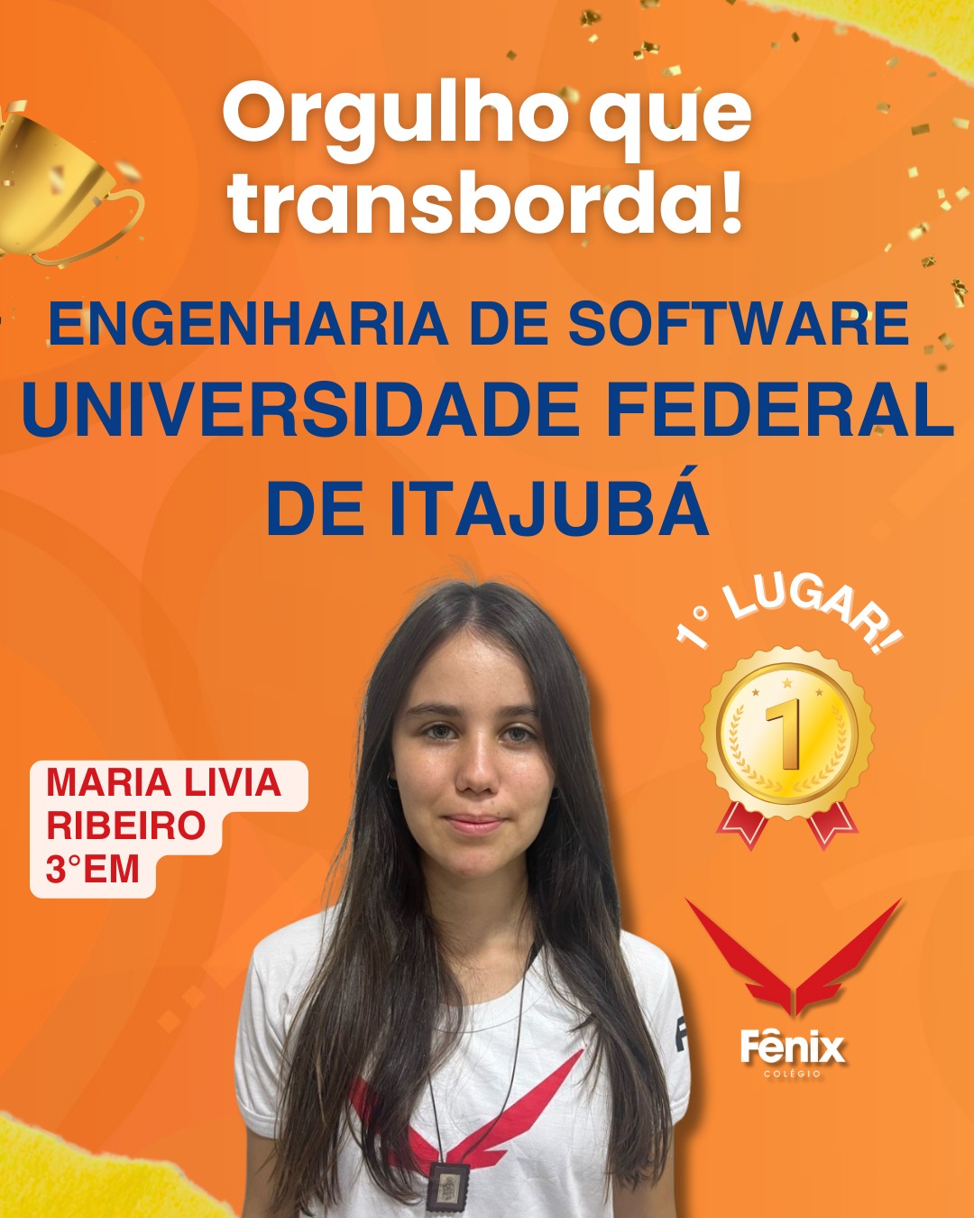 Maria Livia Ribeiro [3º Ensino Médio] - Engenharia de Software - Universidade Federal de Itajubá, 1º LUGAR - Colêgio Fênix Pouso Alegre