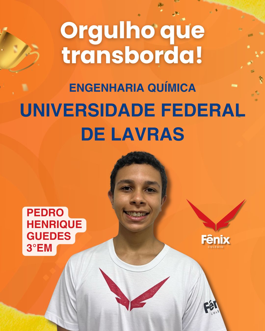 Pedro Henrique Guedes [3º Ensino Médio] - Engenharia Química - Universidade Federal de Lavras - Colêgio Fênix Pouso Alegre